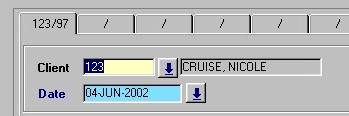 Professional Time Entry