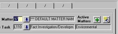 Professional Time Entry