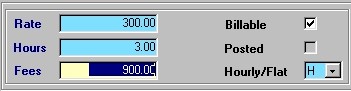 Professional Time Entry