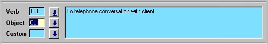 Professional Time Entry